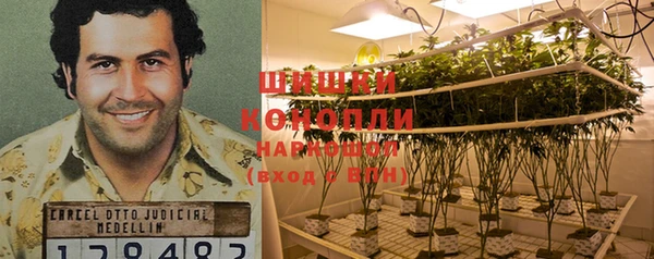 ECSTASY Осинники