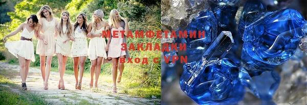 индика Няндома