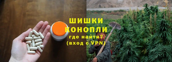 дмт Переславль-Залесский