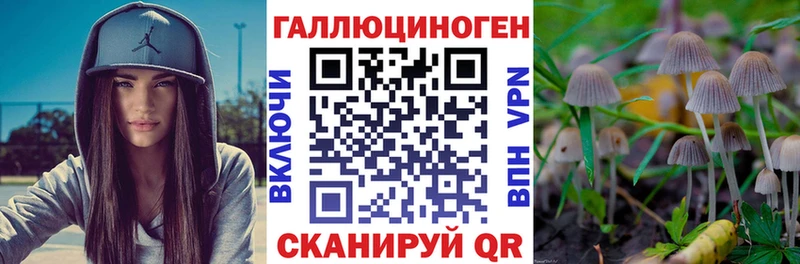 закладки  Порхов  дарк нет как зайти  Псилоцибиновые грибы мухоморы 